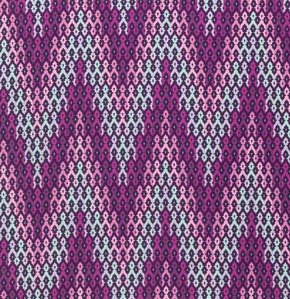 Tula Pink Chipper Collection ~ Wanderer in Raspberry ~ 1/2 yard